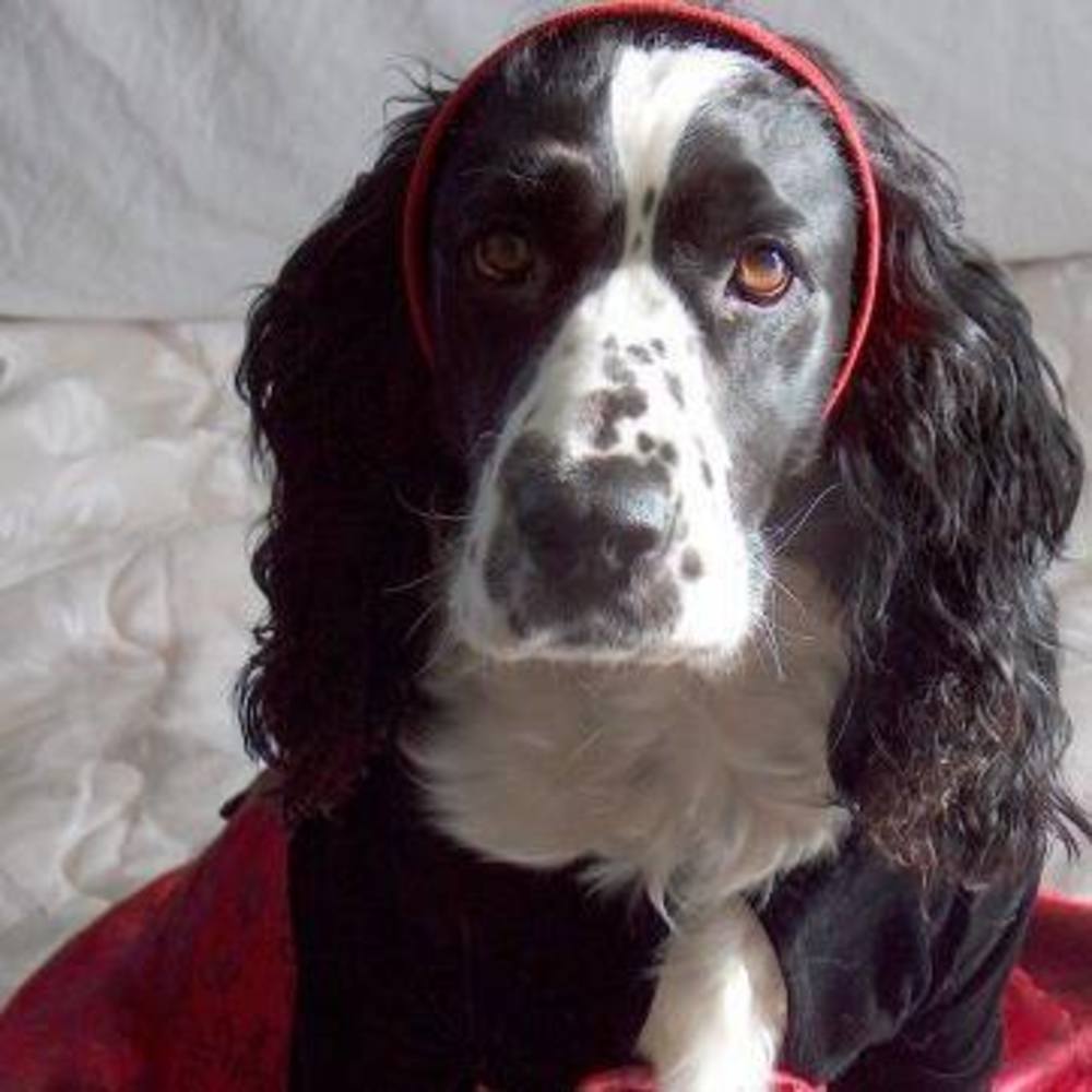 Meet your Posher, Nichole