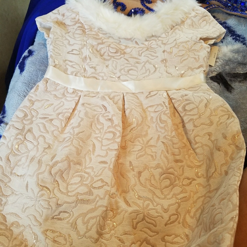 New with tag special occasion Janie and Jack 4T dr