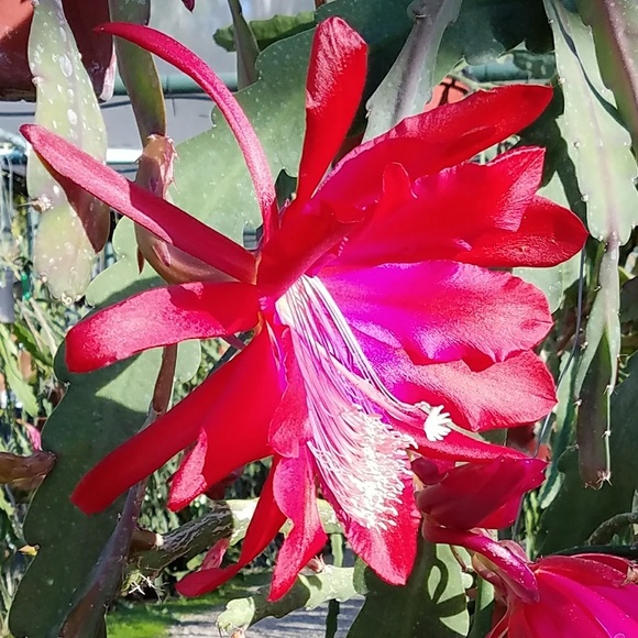 Meet your Posher, Emma - Picture 1 of 1