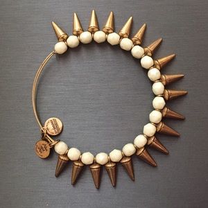 Edgy Alex and Ani bangle