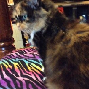 Meet your Posher, Krystal