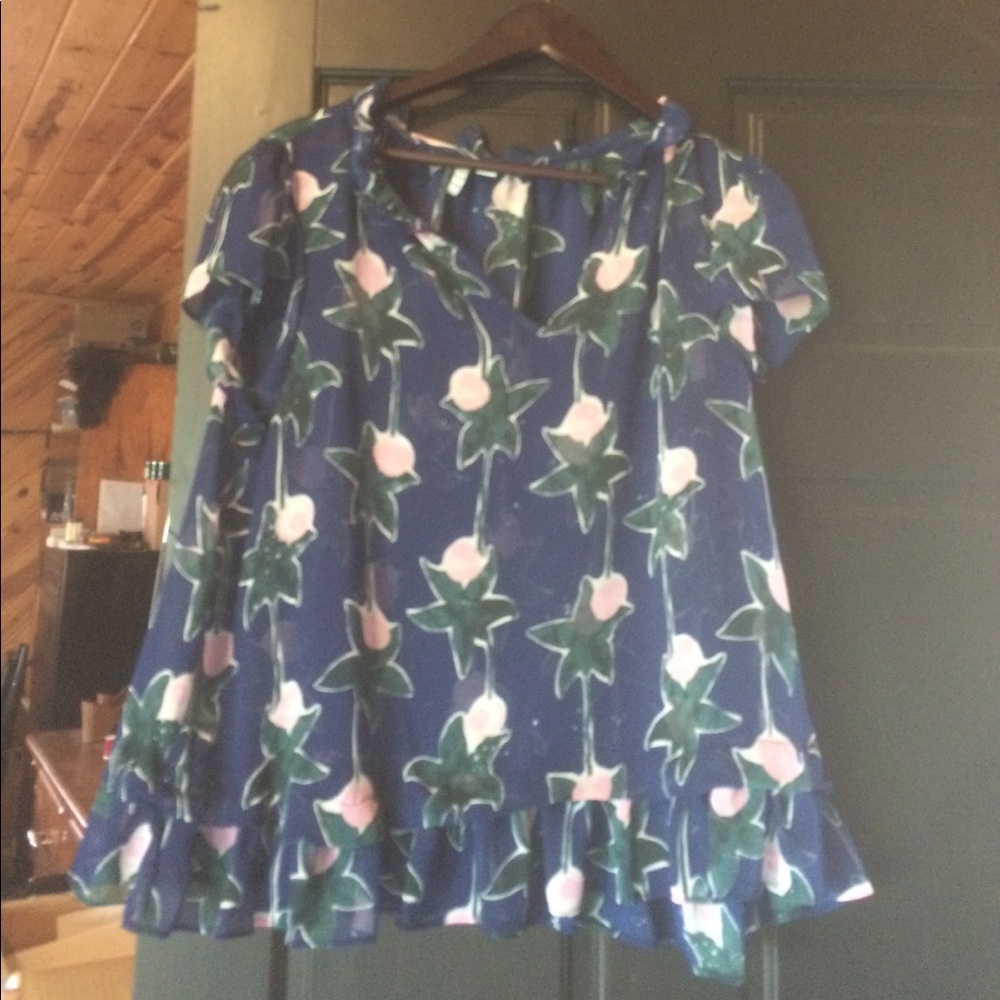 Women's large sheer top