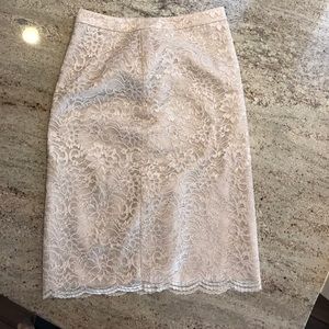 Banana Republic Skirt