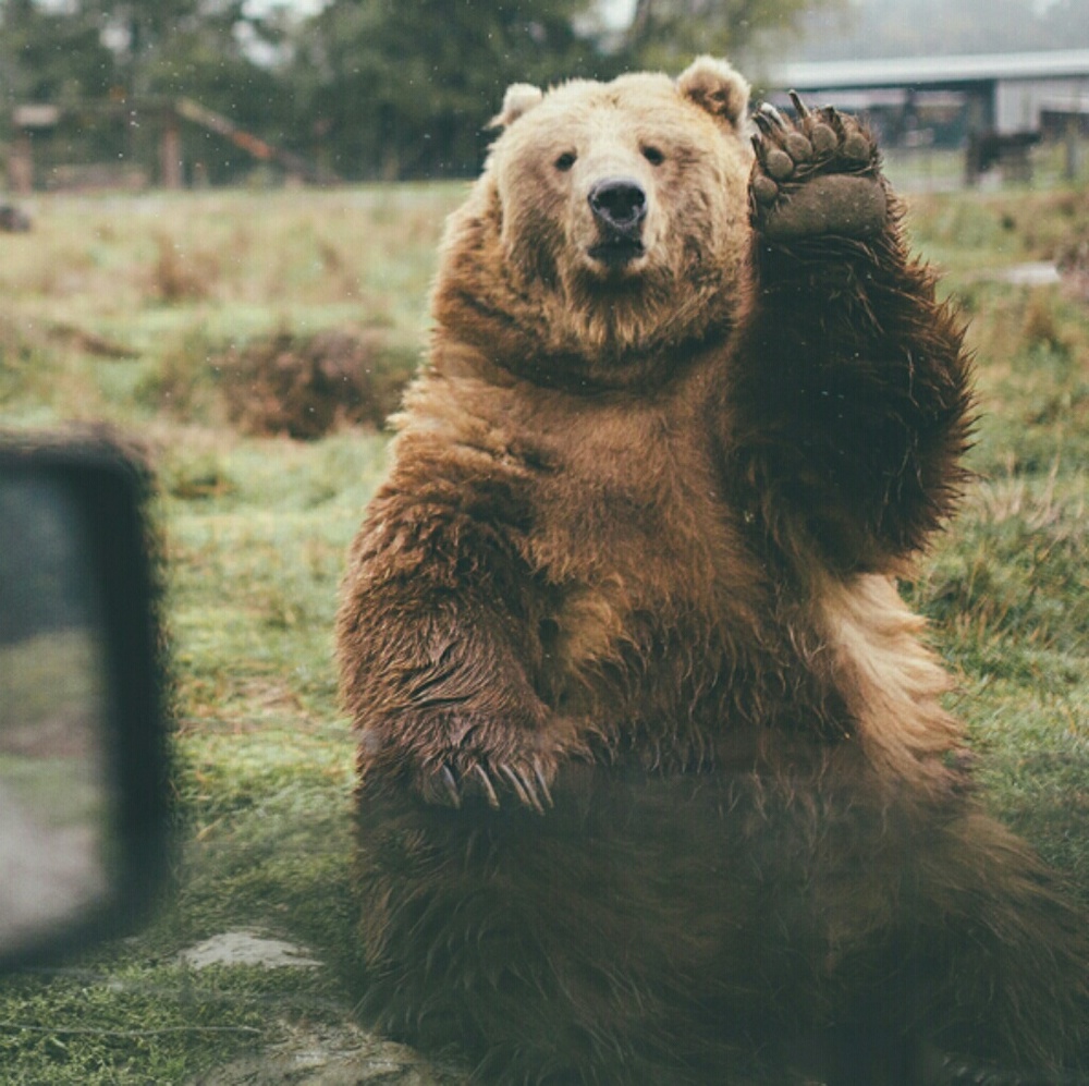 Meet your Posher, Em