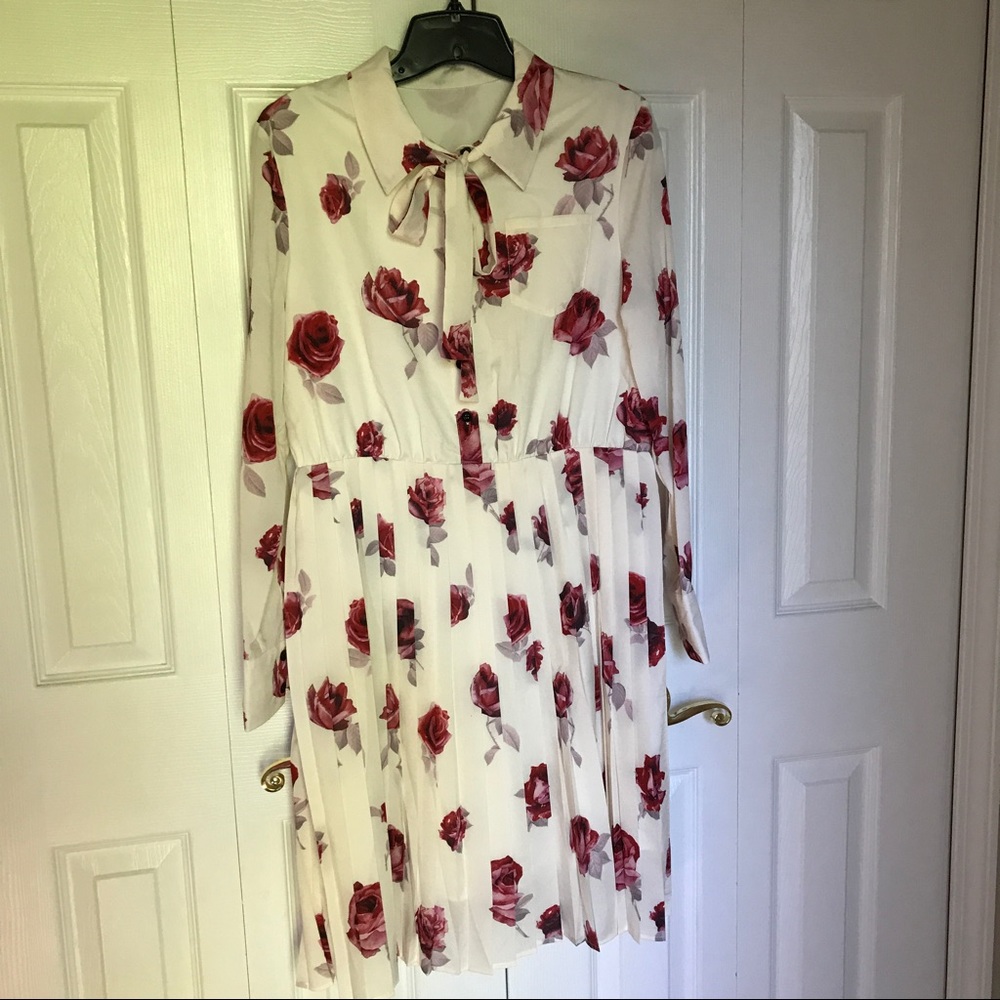 NWOT. Rose Print Silk Dress