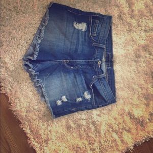 Flying Monkey High Rise Shorts