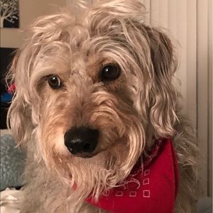 Meet your Posher, Margaret