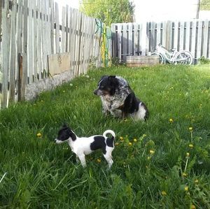 Meet your Posher, Kathy