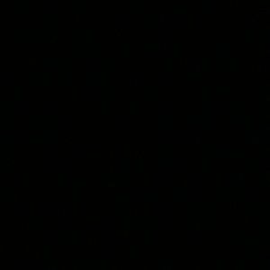 Meet your Posher, Natasha