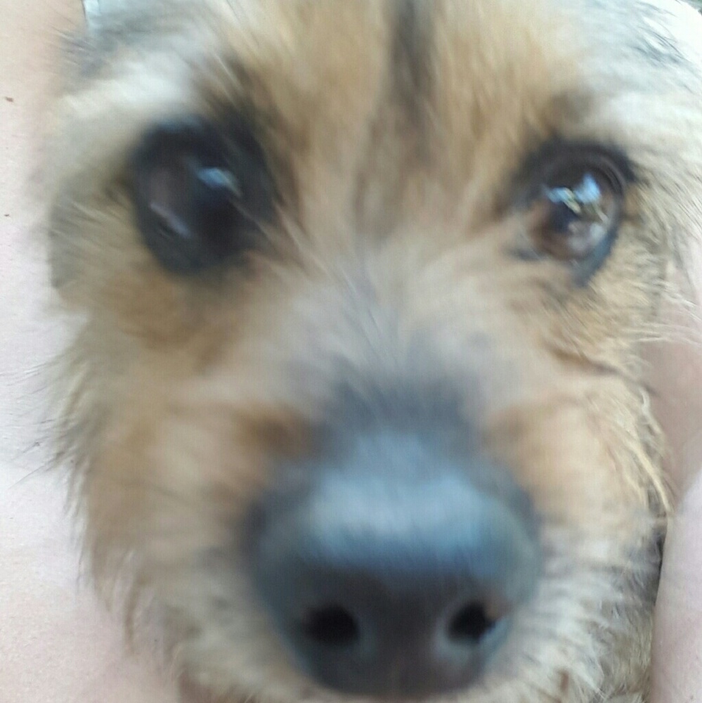 Meet your Posher, Magda