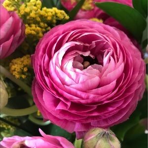 Meet your Posher, Jina