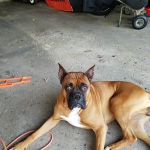 Meet your Posher, Towana