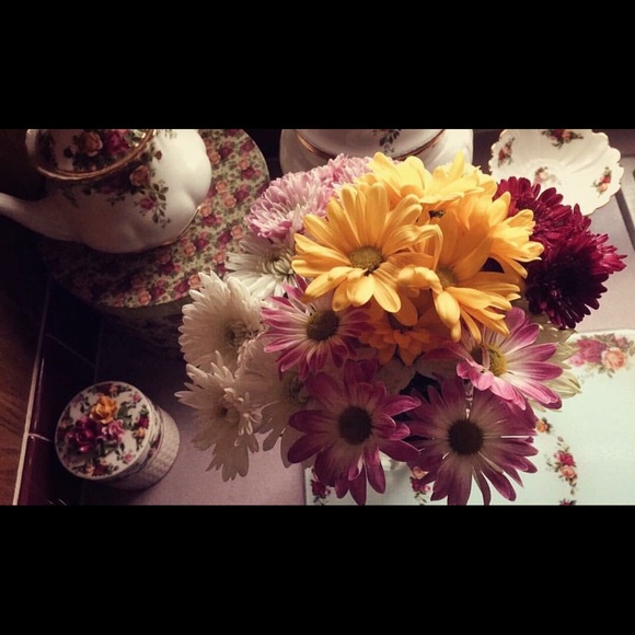 Meet your Posher, Tara - Picture 1 of 1