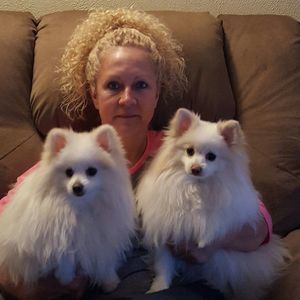 Meet your Posher, Pam