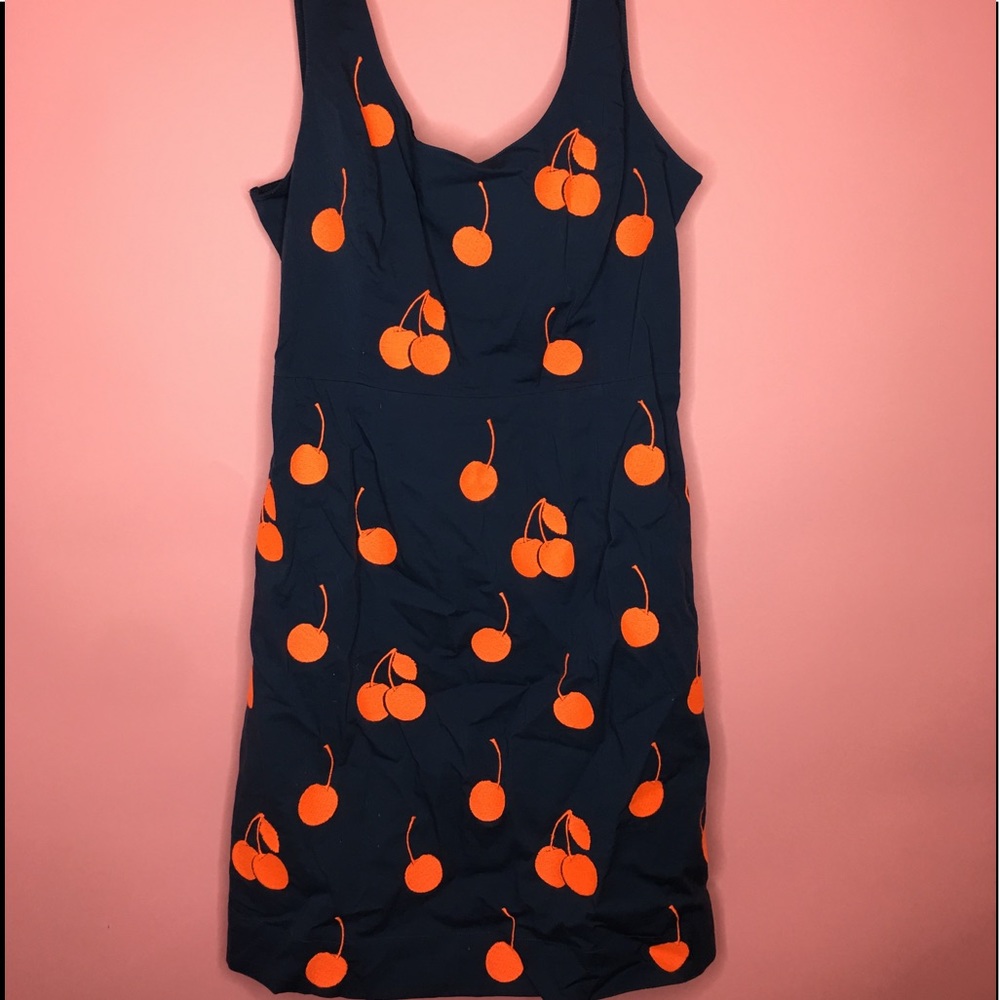 Brand New Anthropologie Dress