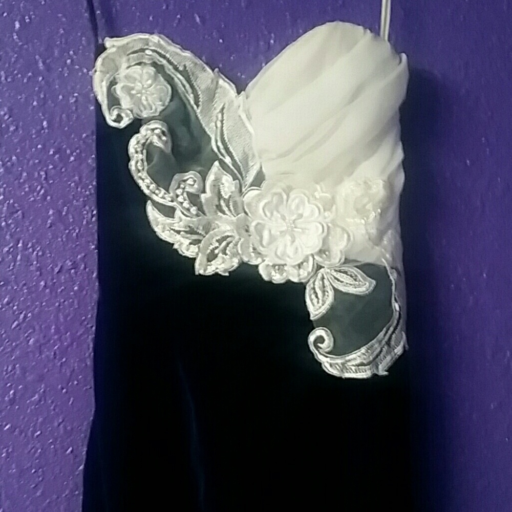 Loralie Vintage Gown. Absolutely gorgeous!