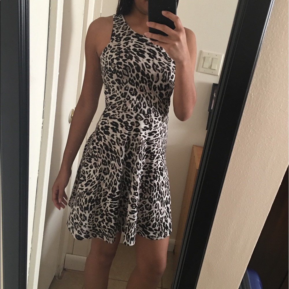 Cheetah print skater dress