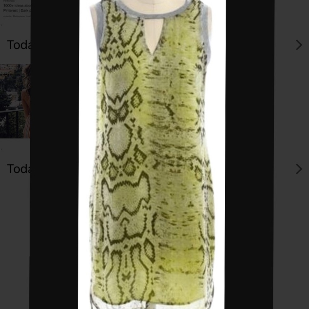 Charlie jade animal print dress