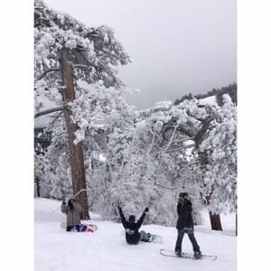 Meet your Posher, Jayjay