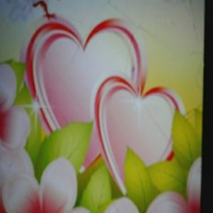 Meet your Posher, Eva