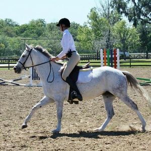 Meet your Posher, Brianna