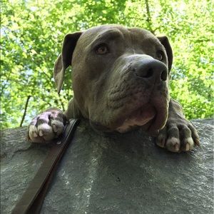 Meet your Posher, Steve