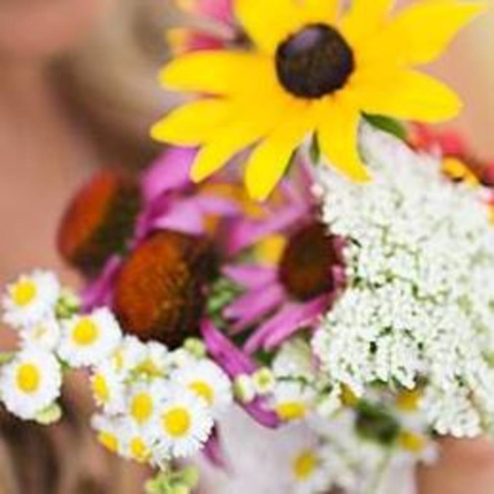 Meet your Posher, Beth