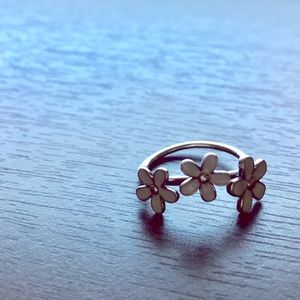 Darling daisies trio