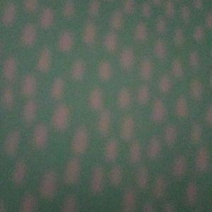 Meet your Posher, Shana