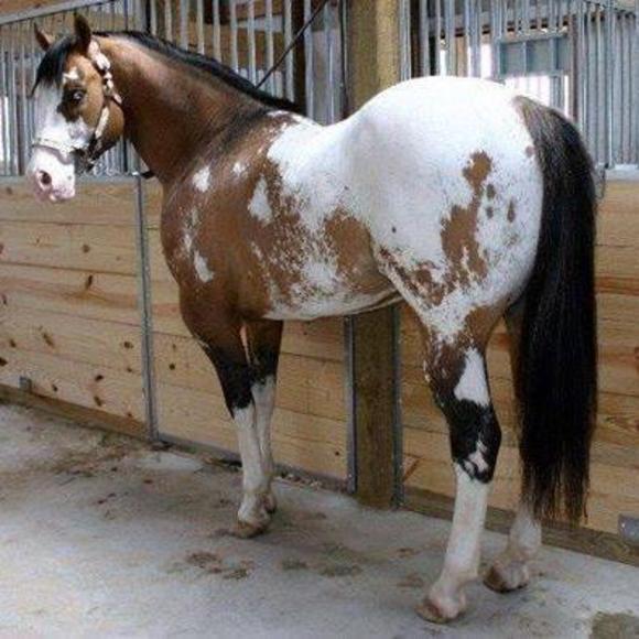 Meet your Posher, June - Picture 1 of 1