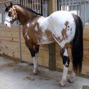 Meet your Posher, June