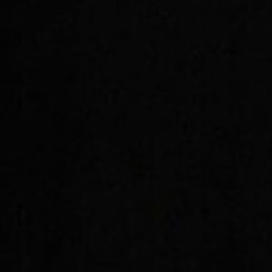 Meet your Posher, Bella