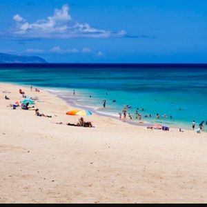 Meet your Posher, Polly