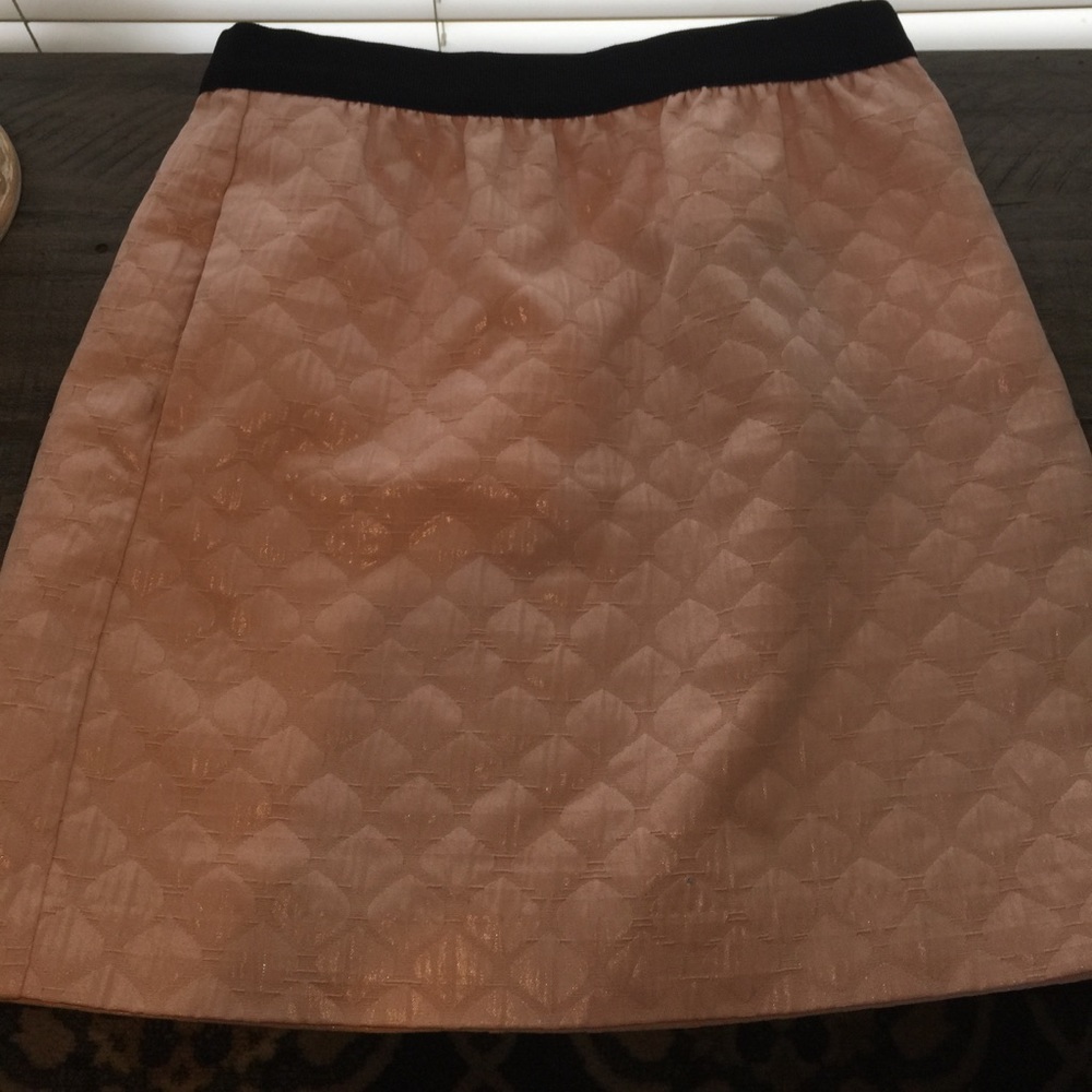 LOFT skirt