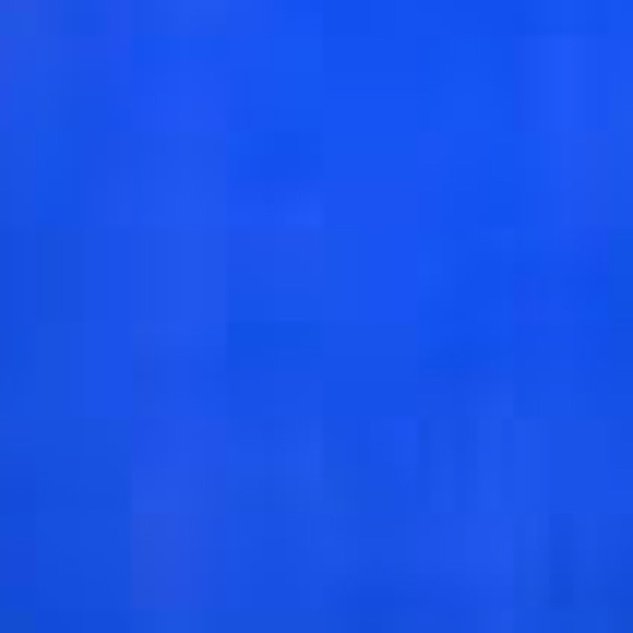 Meet your Posher, Bo - Picture 1 of 1