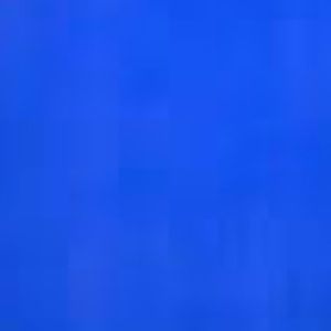 Meet your Posher, Bo