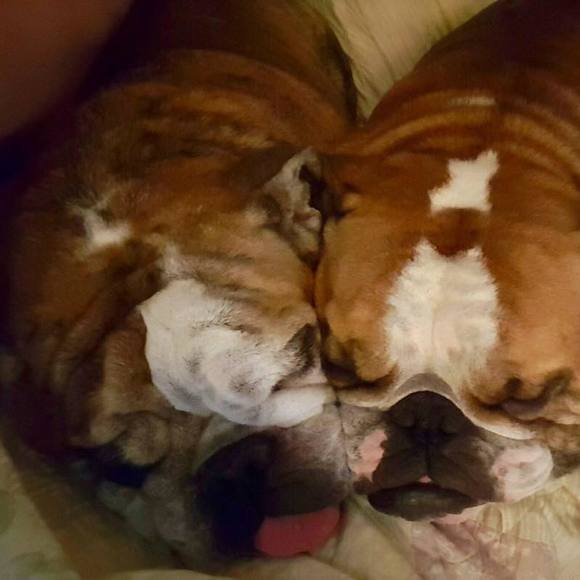 Meet your Posher, Jodi - Picture 1 of 1