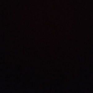 Meet your Posher, Daryl