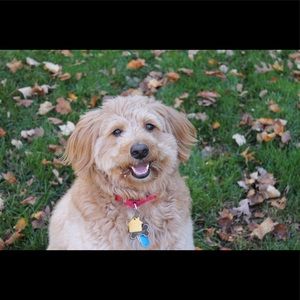 Meet your Posher, Natalie