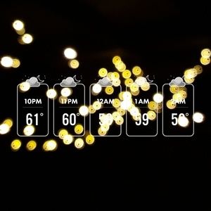 Meet your Posher, Sammi