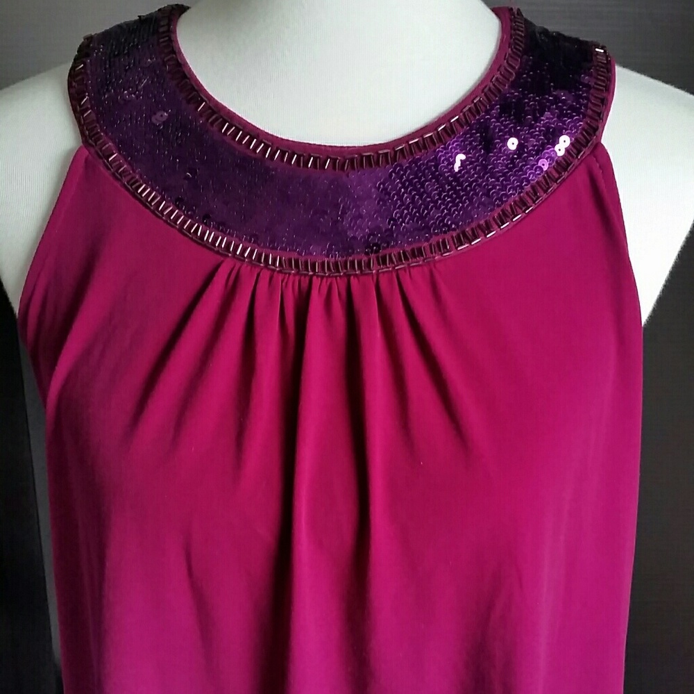 Beautiful Express dressy top