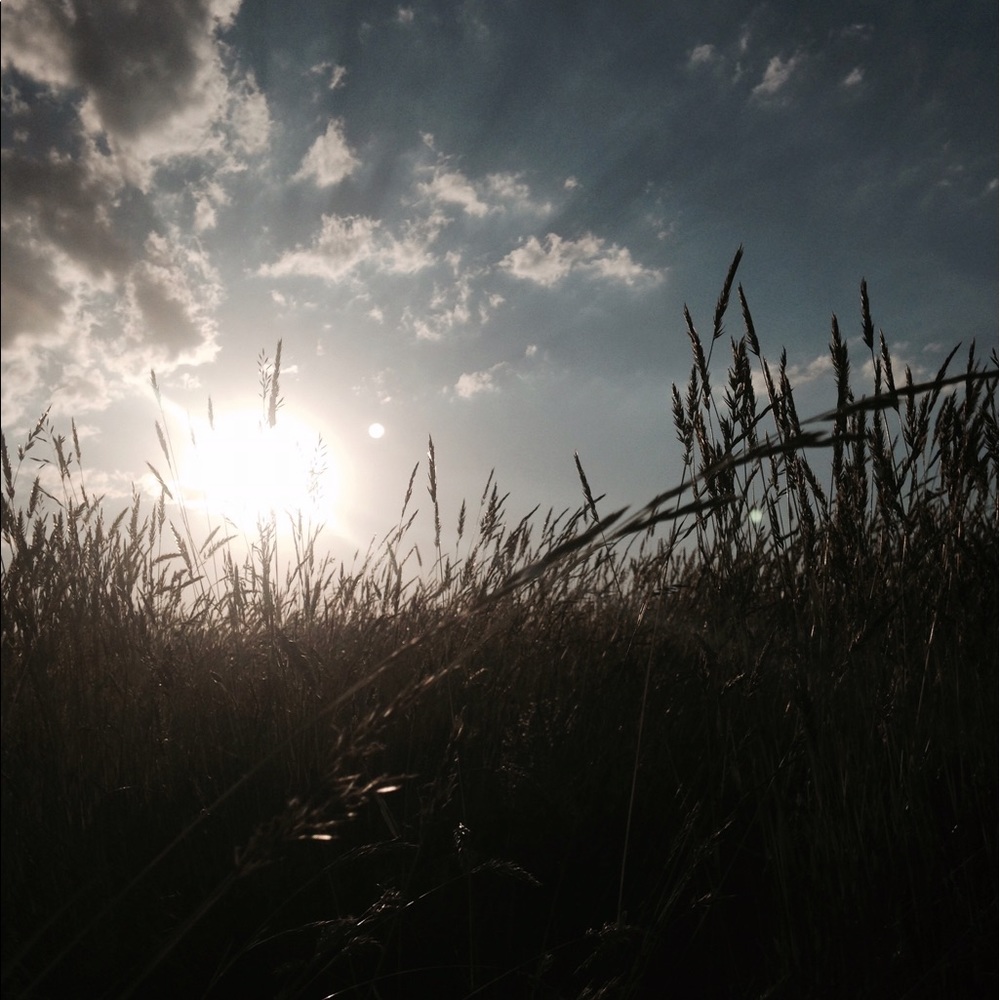 Meet your Posher, Paige