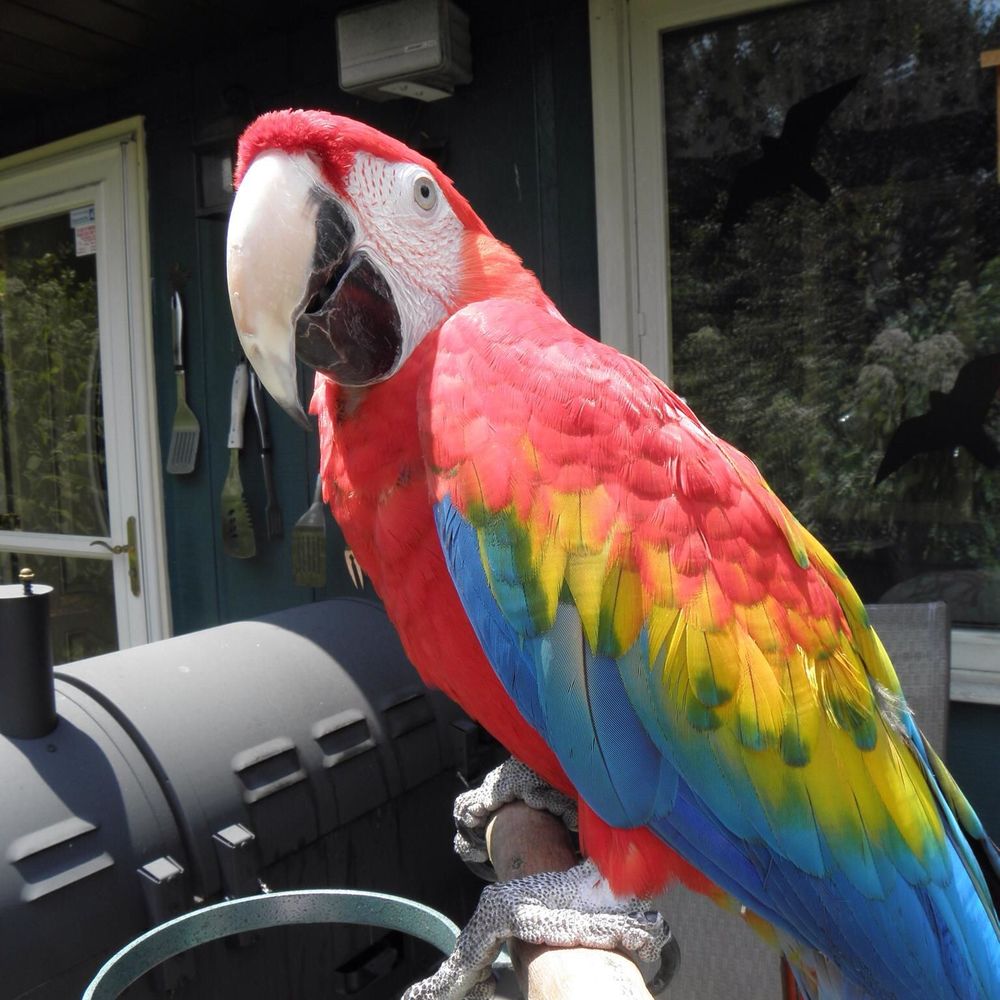 Meet your Posher, Deborah