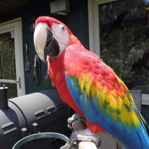 Meet your Posher, Deborah