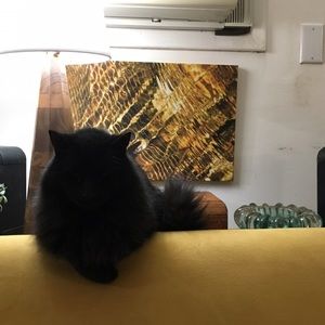 Meet your Posher, Atlee