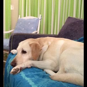 Meet your Posher, Becky