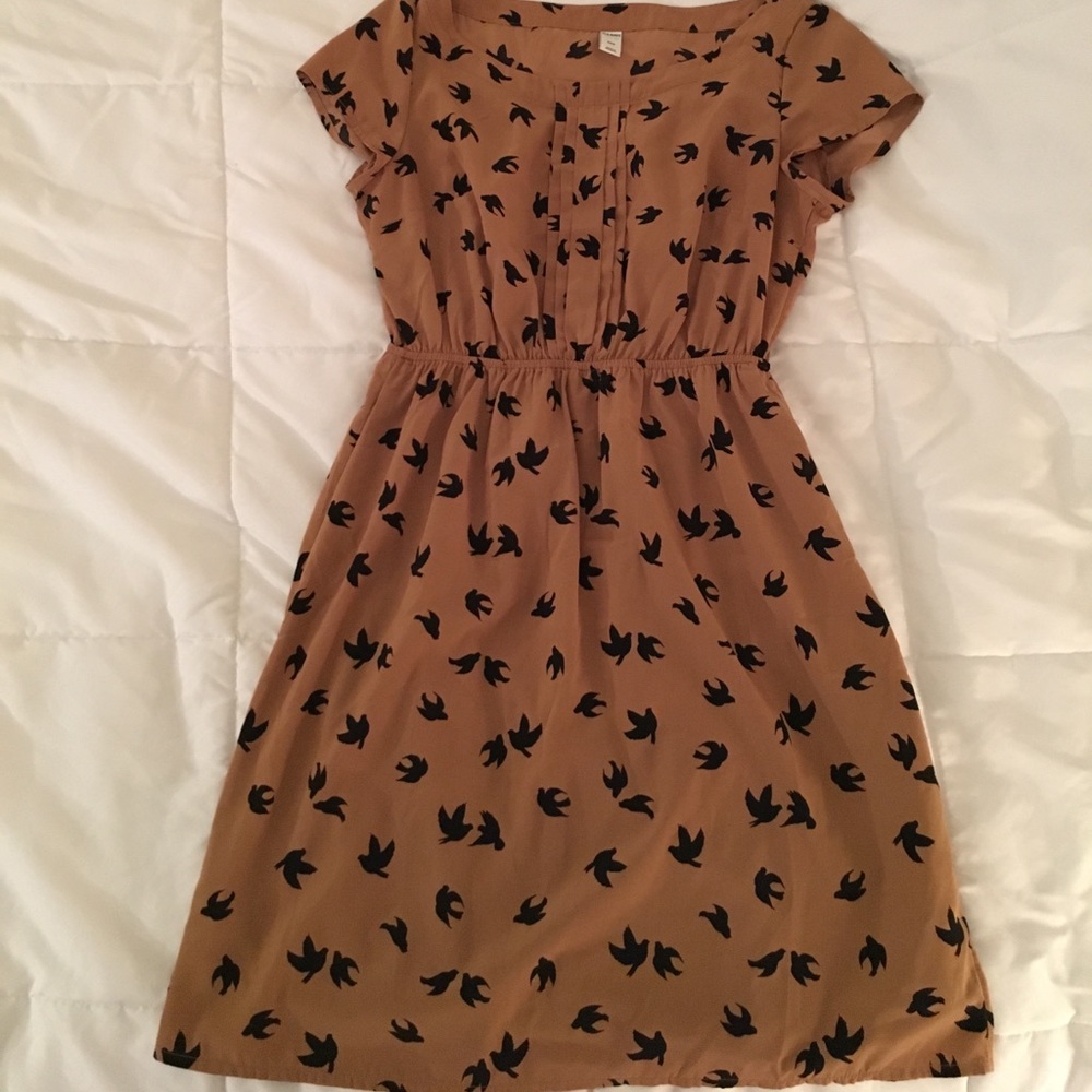 Golden black bird mini dress