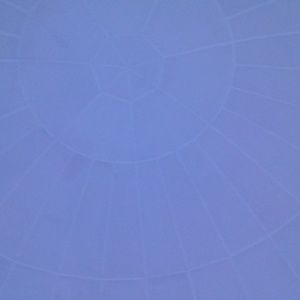 Meet your Posher, Lekisha