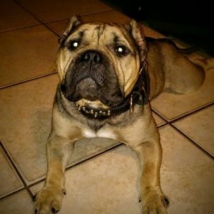 Meet your Posher, Lakeisha