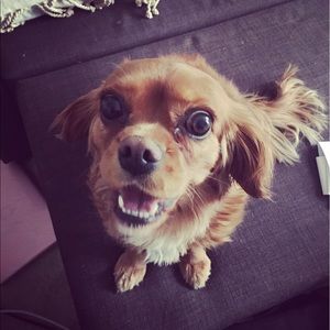 Meet your Posher, Jane